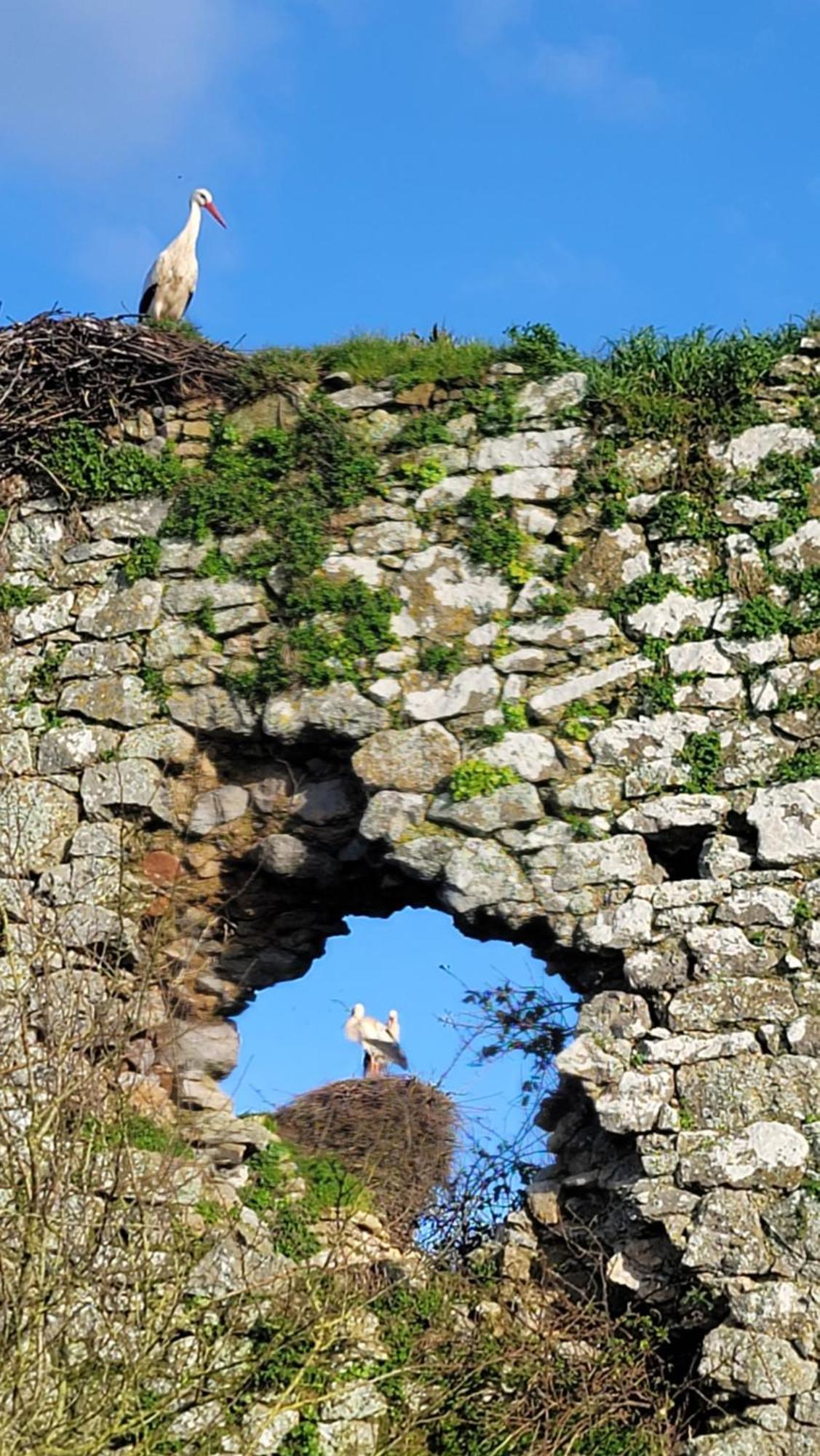 Gite Au Coeur Du Dday Brevands المظهر الخارجي الصورة